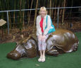Hippo statue
